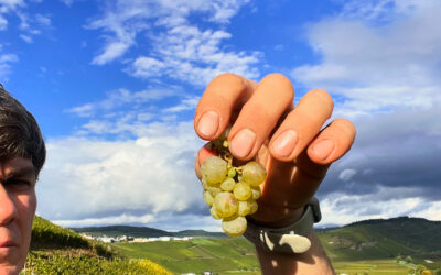 2024-10-10 16.26.04 Symbolbild Jahrgang 2024: Klein aber fein!